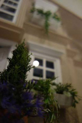 dollhouse miniatures